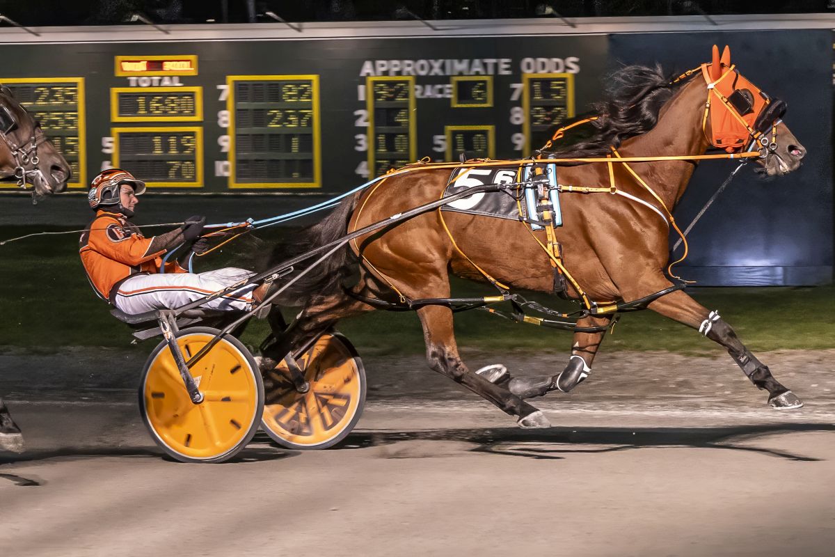 Fisher threads the needle as Summer Slash scores 1