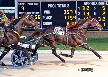 Big night for Brett Miller