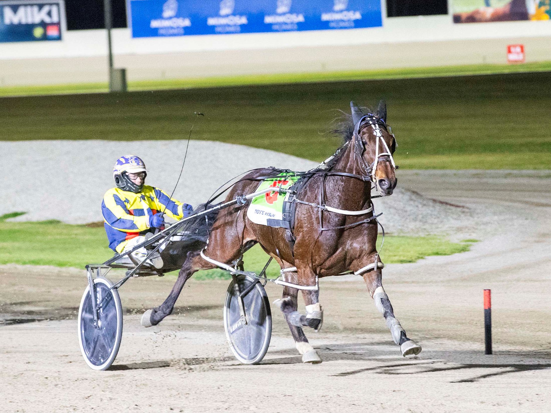 Sweet Ideal ready to resume 1