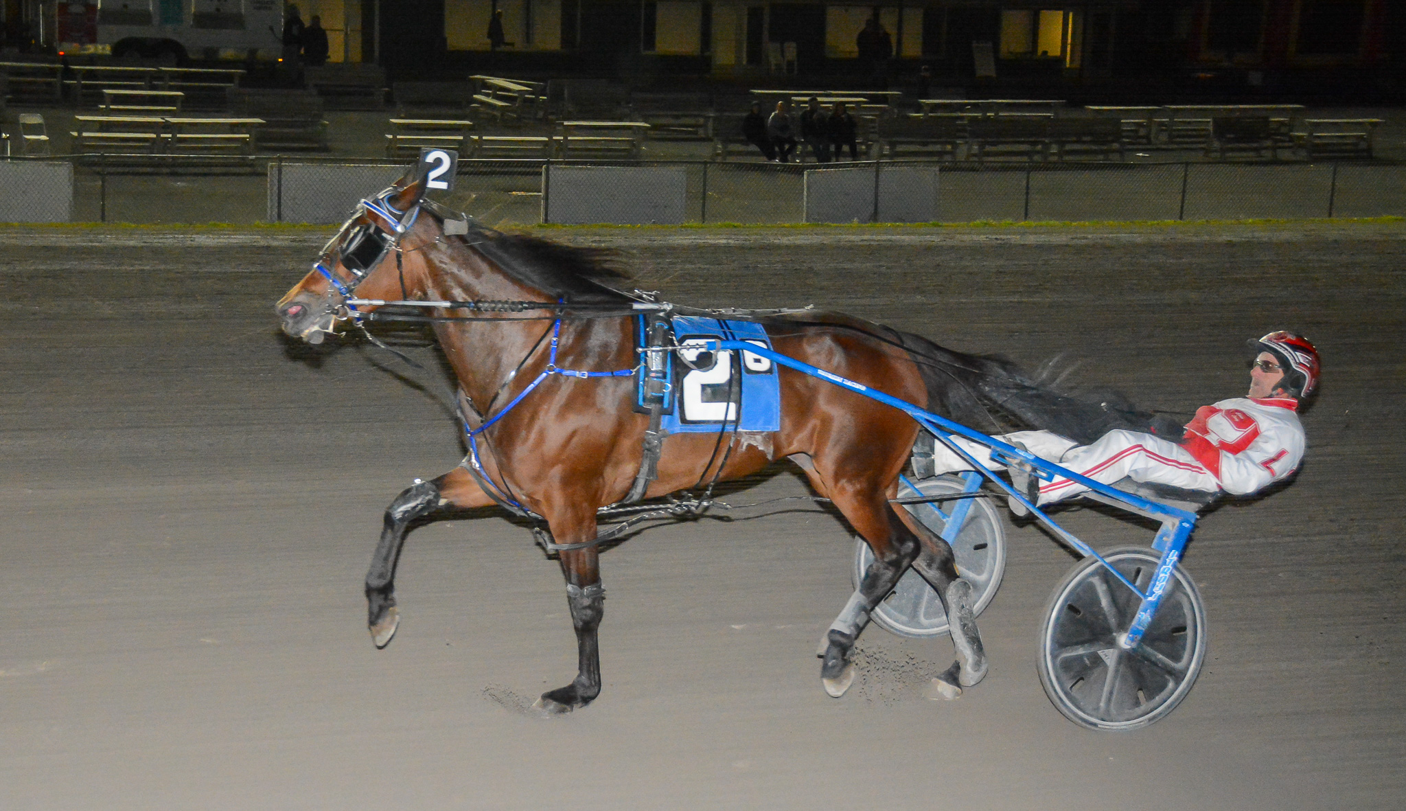 Gritty win by II Sogno Dream mare 1