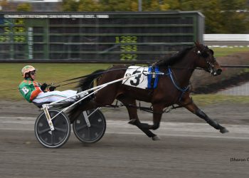 Barrieau teams with T H Boomtown in Summerside showdown