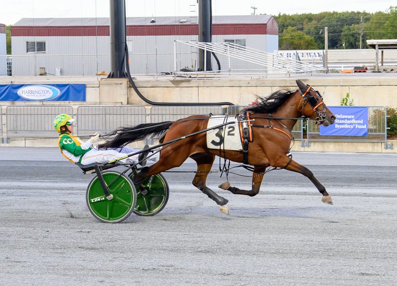 DSBF Finals, Pink Pace highlight closing week 1