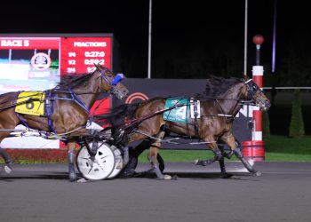 Fillies deliver rare dead heat in Breeders Crown