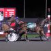 Fillies deliver rare dead heat in Breeders Crown