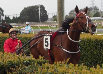 Sadie wins The Dark Horse