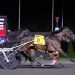 Walner mare blazes to 1:50.2 Breeders Crown triumph