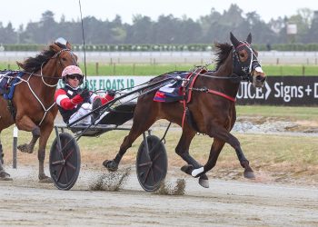 Ashburton undercard in review