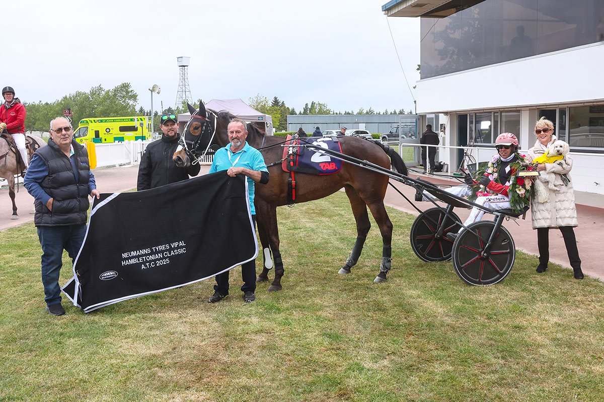 Ashburton undercard in review 11