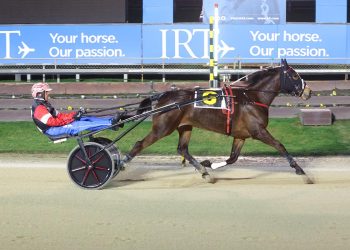 Ya Rite Darl hot favourite for Southern Oaks