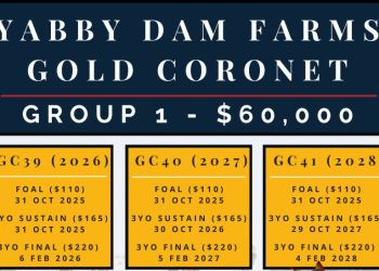 Big prizemoney boost for Bathurst Gold Coronet