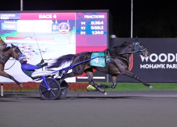 Yo Tillie amazing again winning Breeders Crown Trot