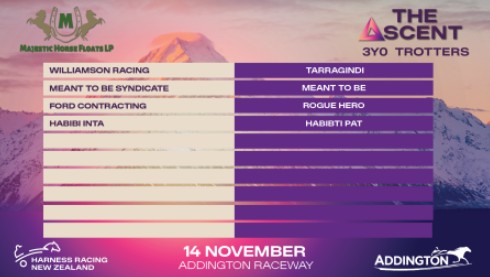 Eight confirmed for Addington’s Show Day slot races 3