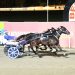 Dasher back in the groove with Bendigo win