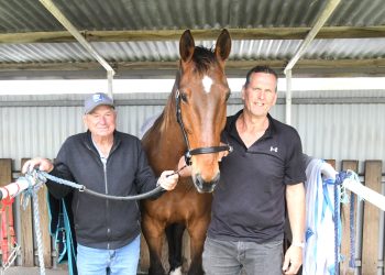 What a comeback! Patience and persistence at its best