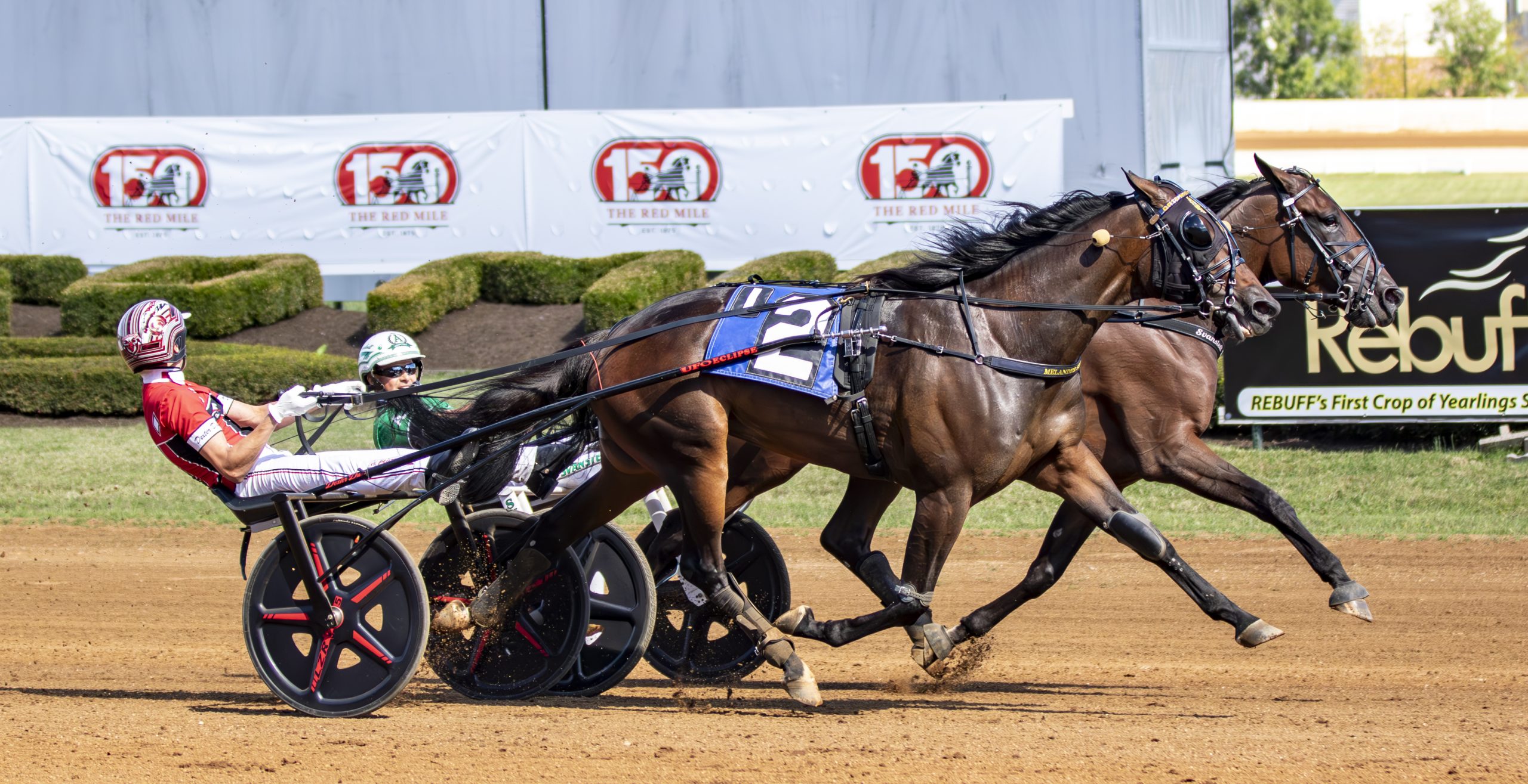 Periculum, Twin B Joe Fresh set track records in Allerage 3