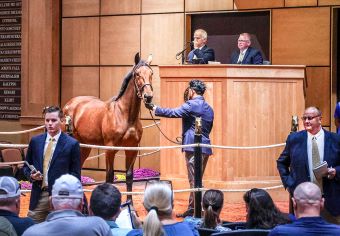 $11.5 million turnover on third session of Lexington Selected Yearling Sale