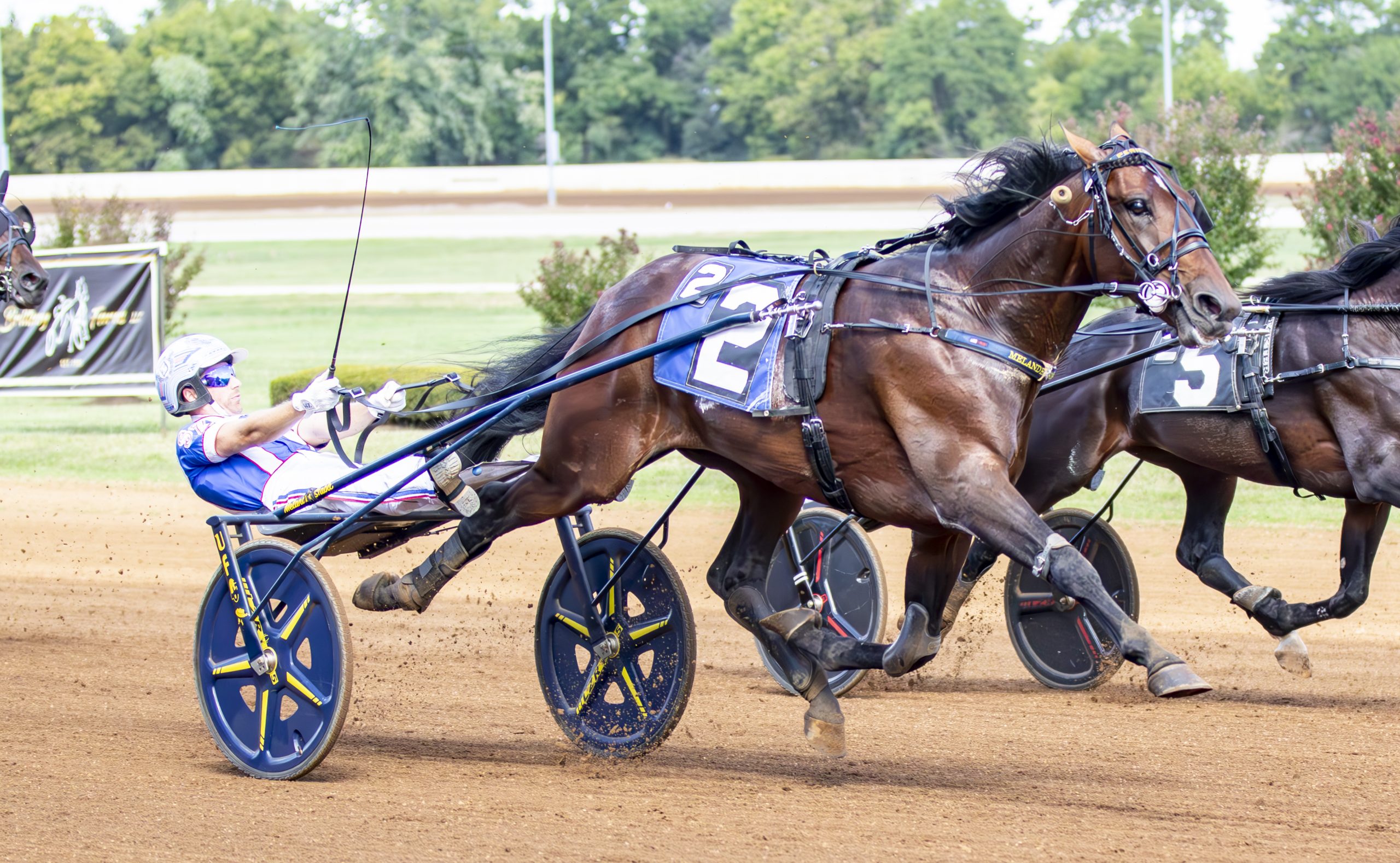 Periculum, Twin B Joe Fresh set track records in Allerage 1