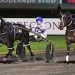 IRT NZ Trotting Cup start for Sooner The Bettor