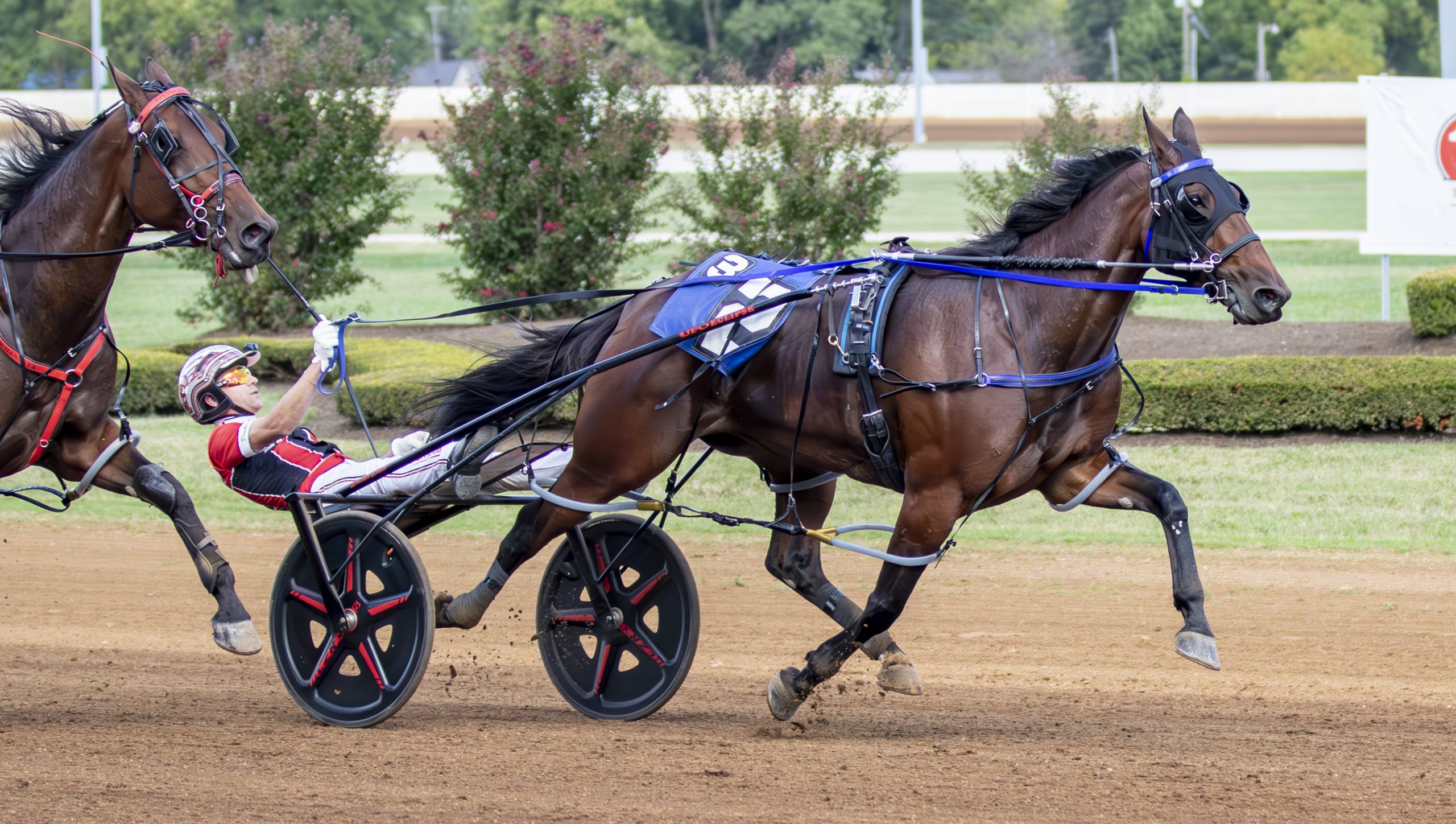 Periculum, Twin B Joe Fresh set track records in Allerage 2