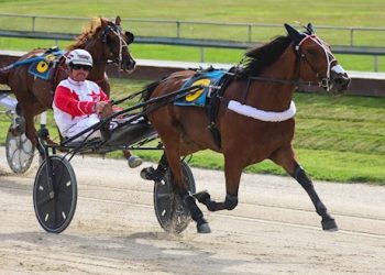 Bidding ends Wednesday night on 8 Lot Auction