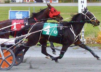 Birthday blitz – Campbell drives four winners