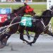 Birthday blitz - Campbell drives four winners 2 Birthday blitz – Campbell drives four winners