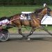 Darlin’s Angel takes streak to four in Kindergarten division win 2