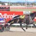 Lather Up gelding targets Globe Derby heats