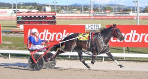 Lather Up gelding targets Globe Derby heats