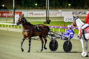 Little Darling dominates ahead of $150k Westral final