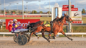 Glenledi Elvis smashes 2200m track record 1