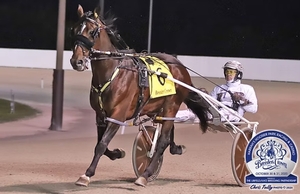 Summa Cum Laude yearlings poised to make waves at APG 2026