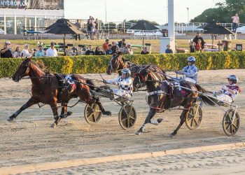 Leap To Fame bounces back to win $200,000 Free For All