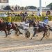 Leap To Fame bounces back to win $200,000 Free For All