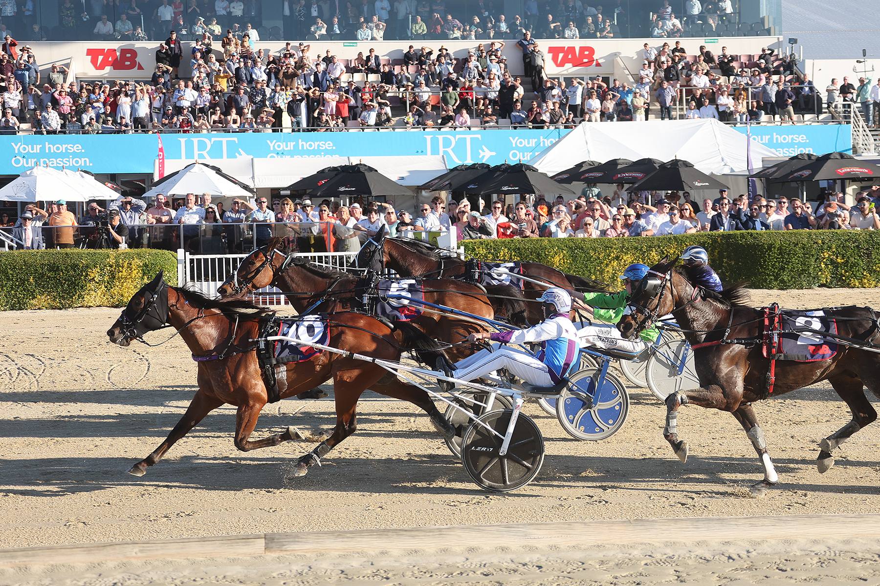 Gus completes stunning Cup week double 1