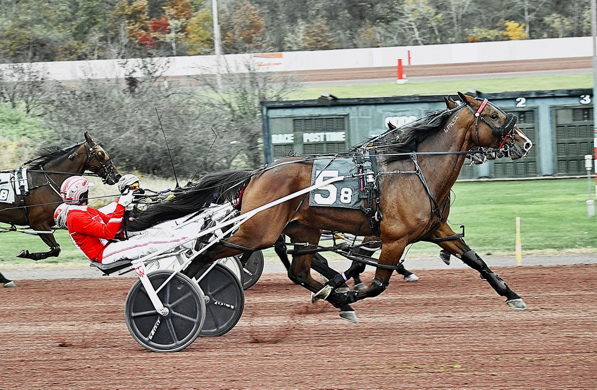 Agedchedar Hanover wins thriller 1