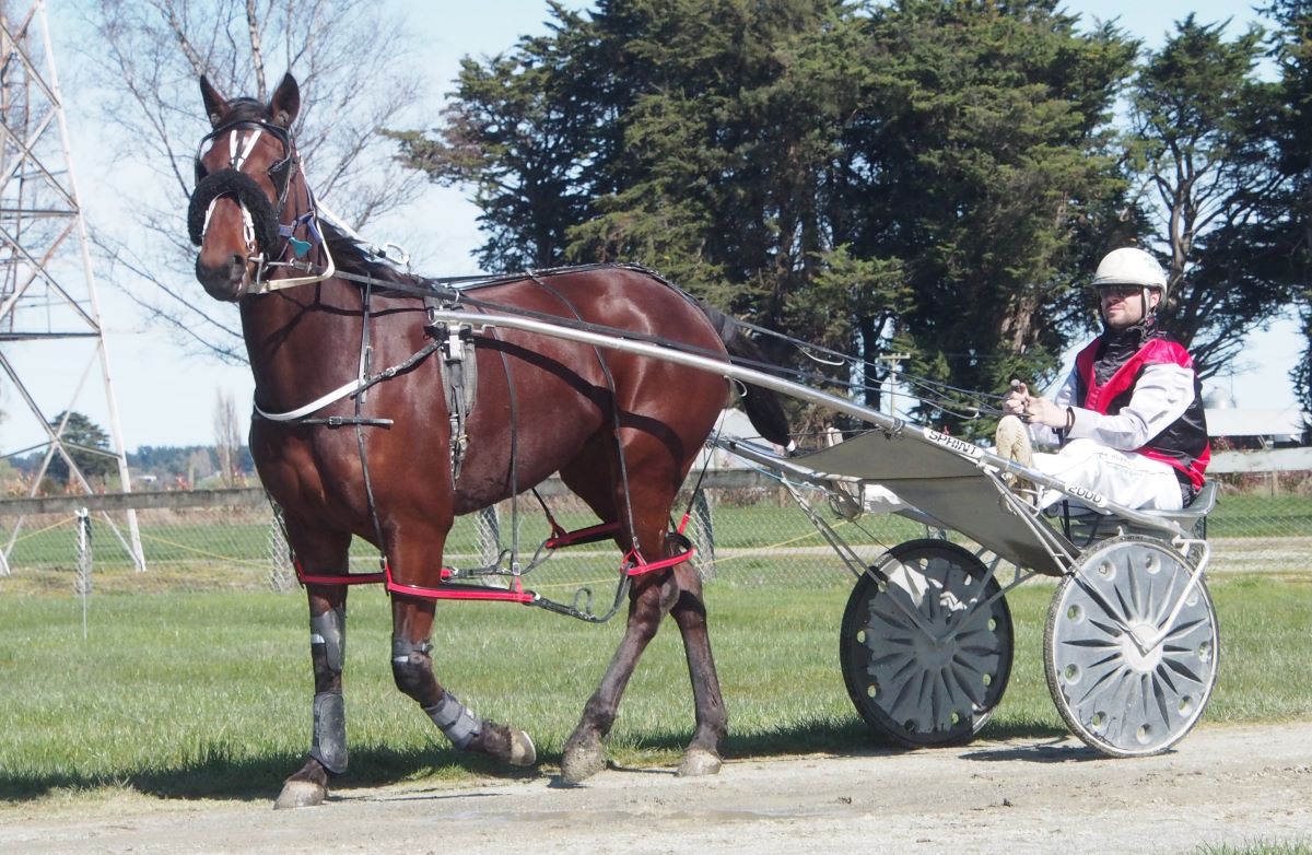 Major assignments ahead for Ferguson 1