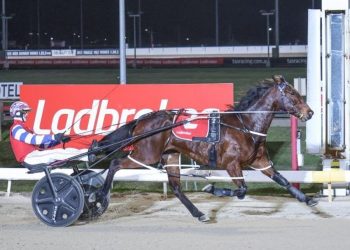 Barbary Tales shines in Bandbox heat