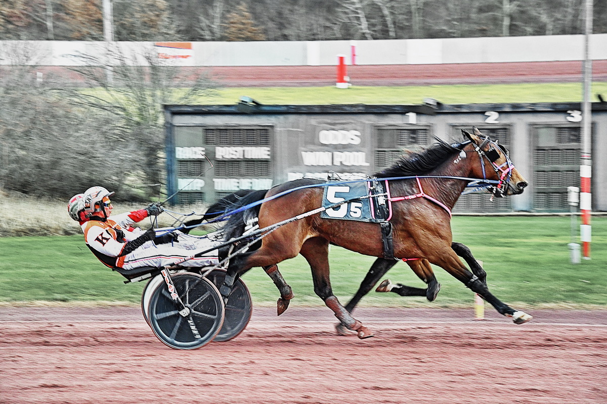 Tyler Buter caps breakout season with 300th win 3