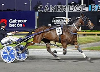 Orange charges up leaderboard as MacDonald extends WDC lead