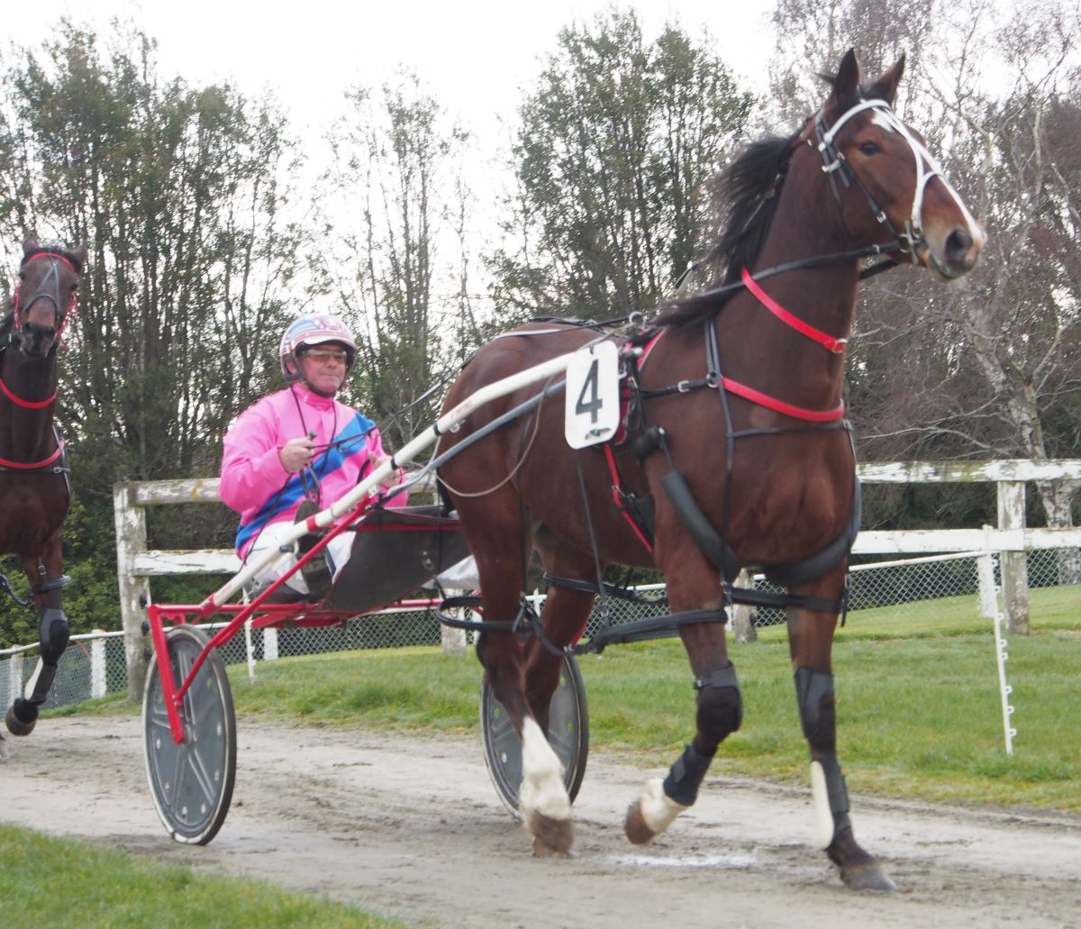 Good team - bad draws 5