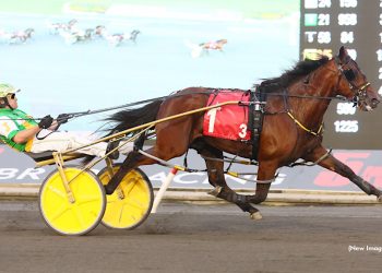 Captains Quarters to stand at Winbak Farm in 2026