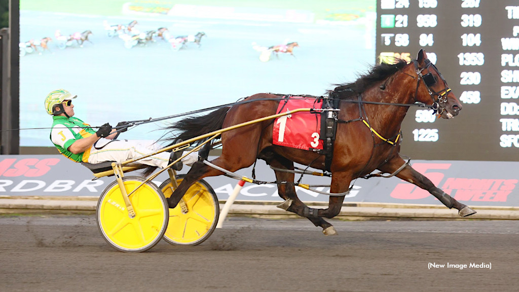 Captains Quarters to stand at Winbak Farm in 2026 1