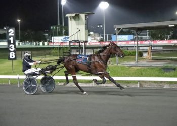 Cool And Classy too nifty as she closes in on half million dollars