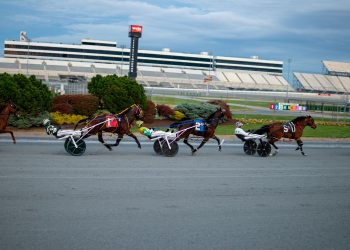 Top 3YO talent set for four Matron Stakes divisions