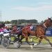 Giant pacer wins his nineth race