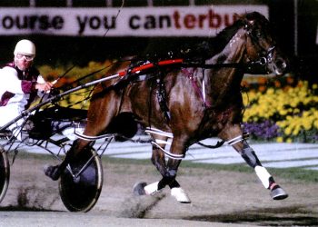 Dalgety’s full-circle Cup quest