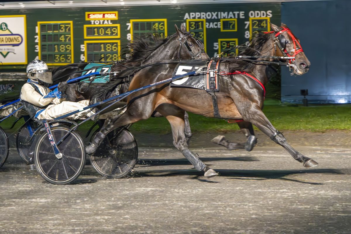 El Toro Loco, Stranger Things win on rain soaked Saturday 1