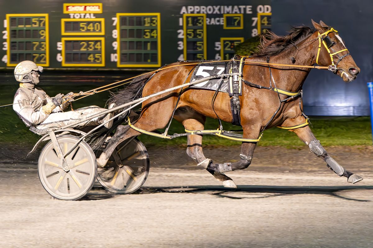 Elegant Woman A glides home for eighth win of the season 1