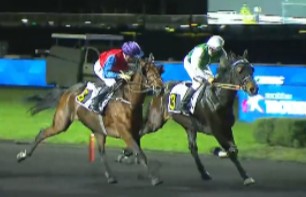 Eros Zola takes Prix L’Ile d’Oleron